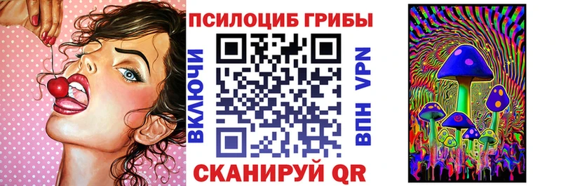 Псилоцибиновые грибы Psilocybe  купить наркотики сайты  Высоцк 